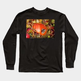 halloween pumpkin Autumn wild mouse Long Sleeve T-Shirt